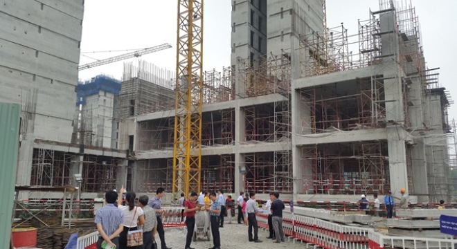 A series of open projects lunar sold in July in Hanoi