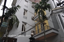 New house with modern style and basic luxury furniture for rent in Dang Thai Mai Street