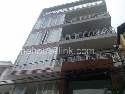 Serviced European style apartment in Thao Dien area, district 2 for rent: 1200$