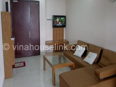  Central Garden apartment for rent in District 1: 800 USD.