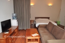 A beautiful apartment available to rent - Nam Ngu Street