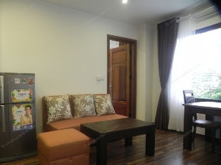 Brand new one bedroom apartment in TRAN QUOC HOAN