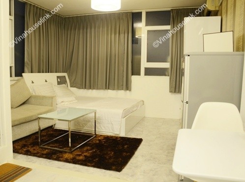 Harmonious apartment for rent at Calmette Strt, Dist 1, HCMC